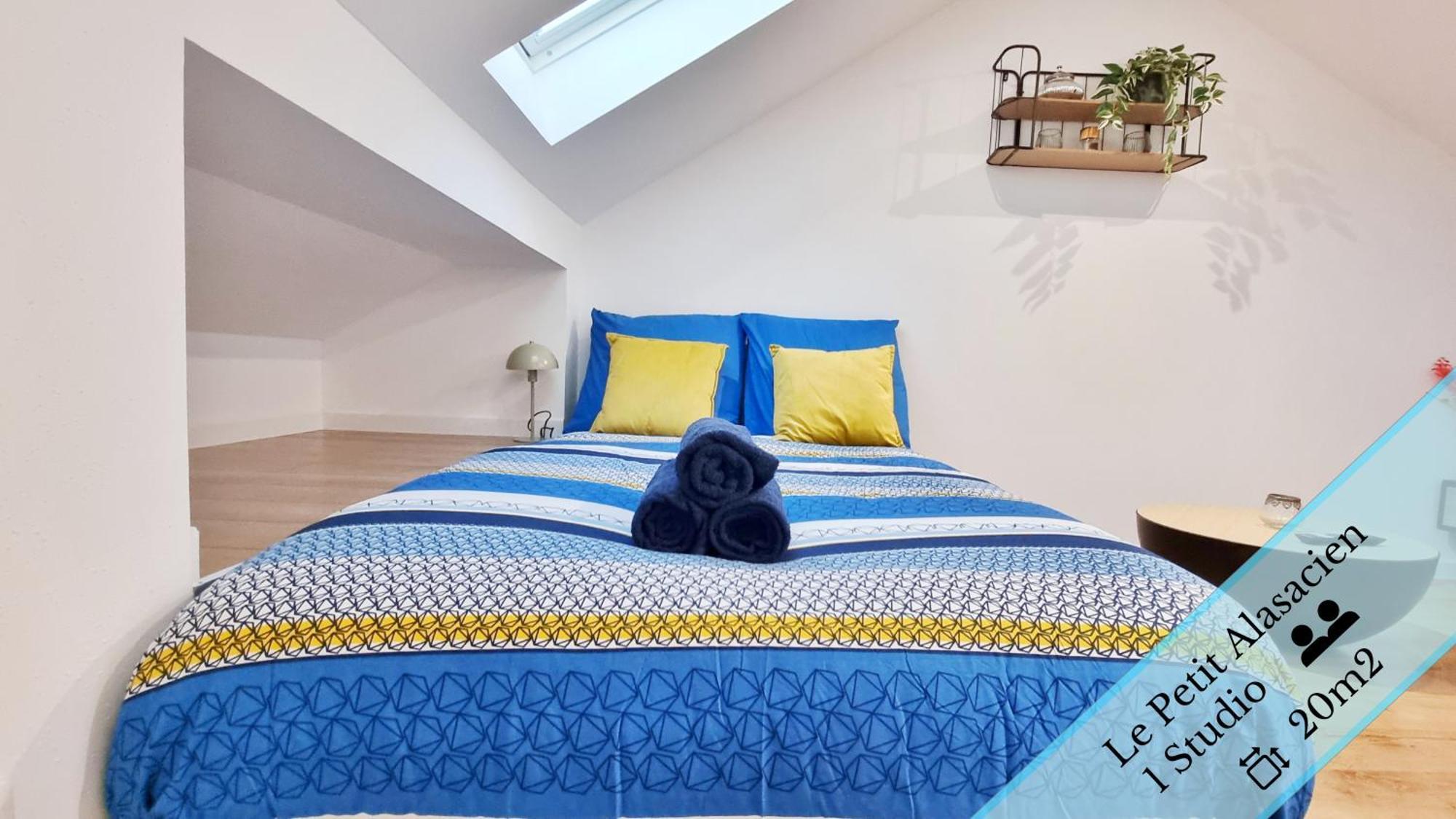 Les Suites Mulhousiennes - Charme & Serenite Mulhouse Room photo